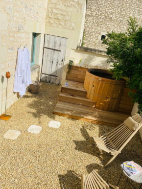 Gîte Chinon jacuzzi piscine L'écrin de verdure